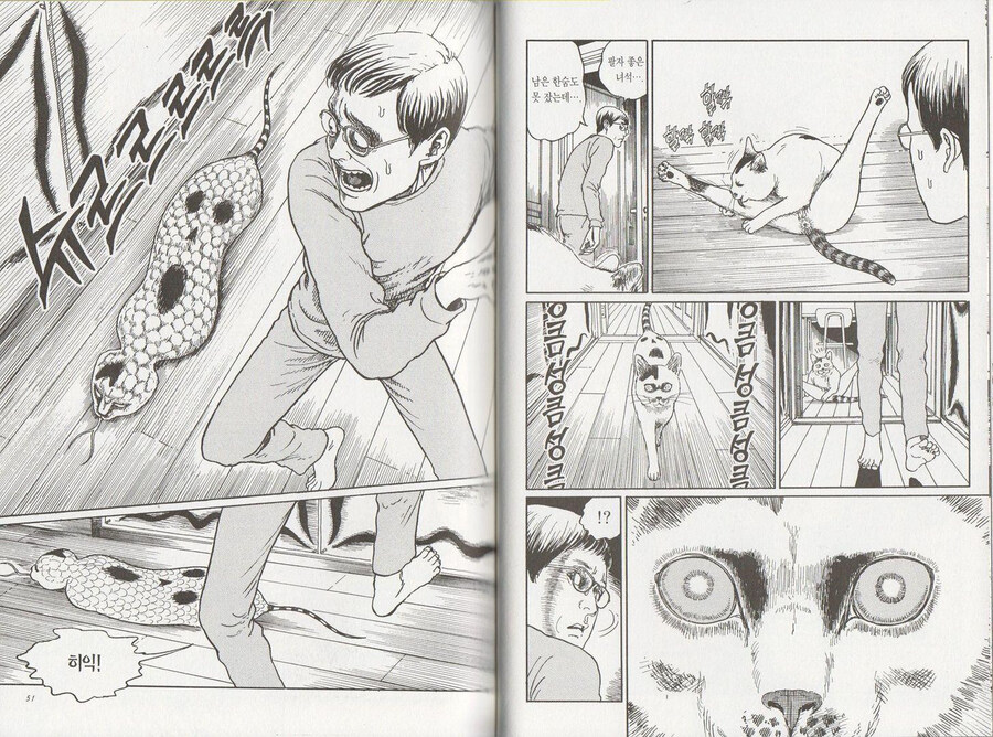 고양이를 공포스럽게 표현한 호러만화_2.jpg