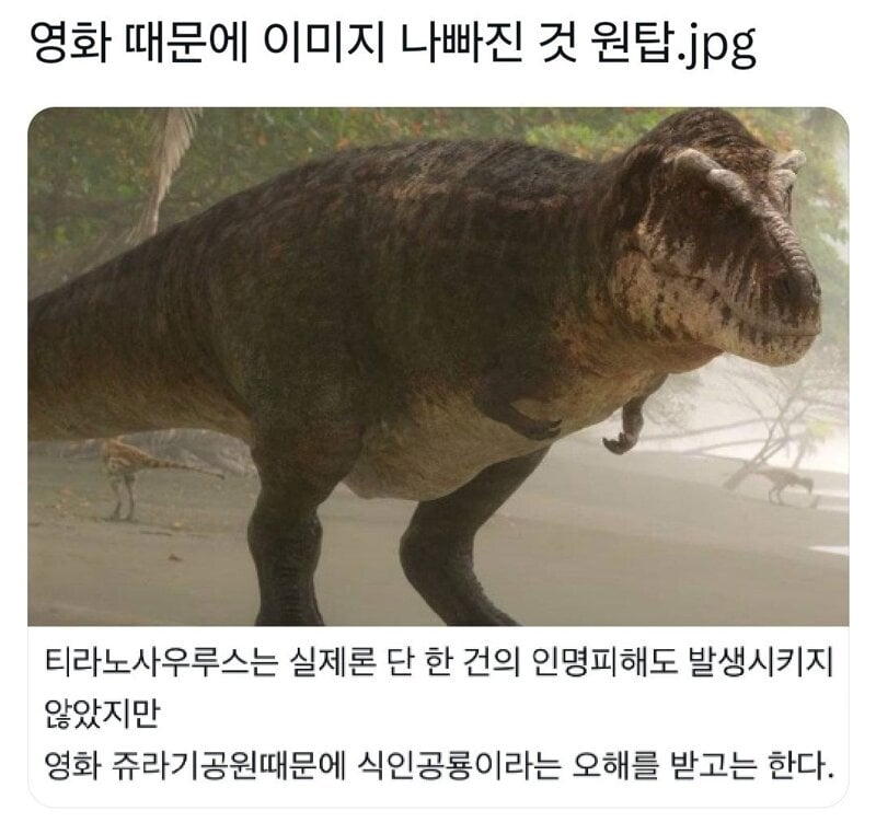 영화때문에 이미지 망가진 동물.jpg_1.jpg