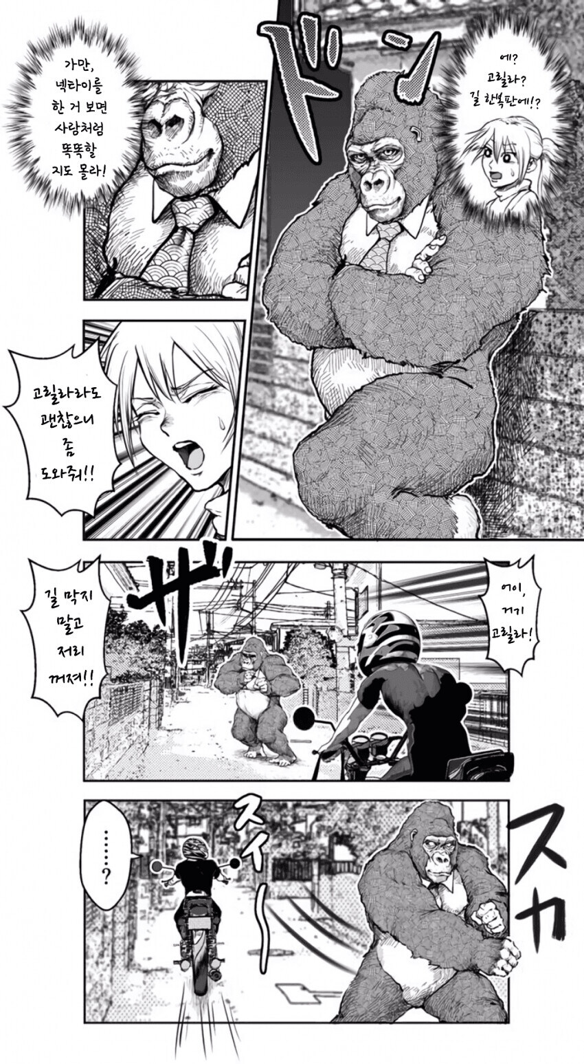 고릴라가 너무 스윗한.manhwa_9.jpg