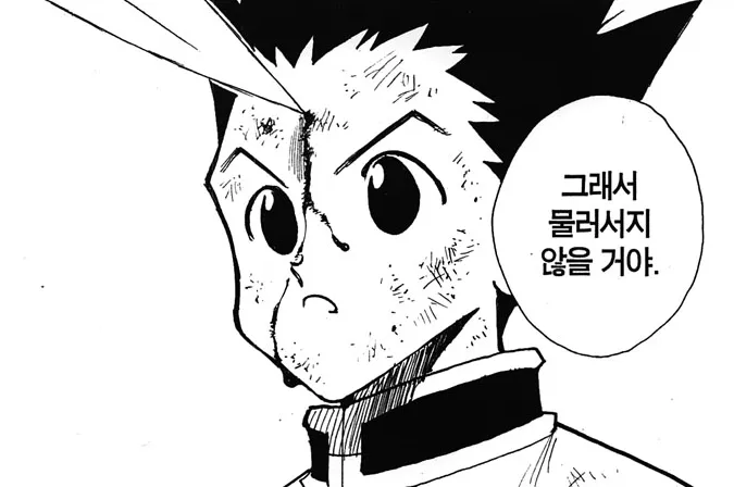 헌터X헌터) 만약 한조가 진짜 빡돌아서 곤죽이려 했다면_2.webp