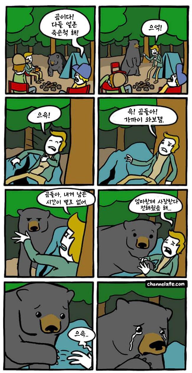 곰 앞에서 죽은 척하면 안되는 이유.manwha_2.jpg