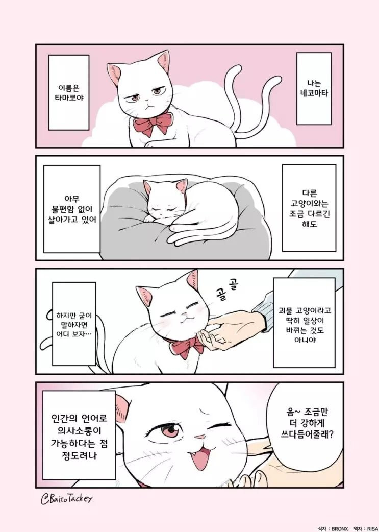 꼬리 둘 달린 고양이 만화_1.jpg