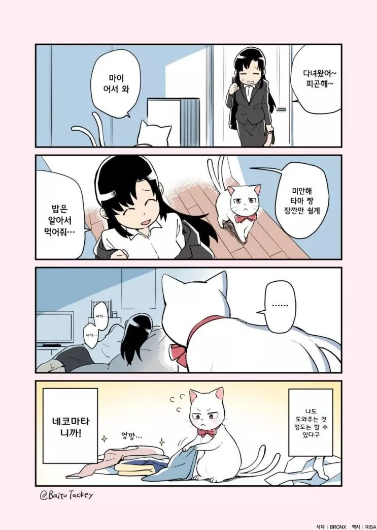꼬리 둘 달린 고양이 만화_4.jpg