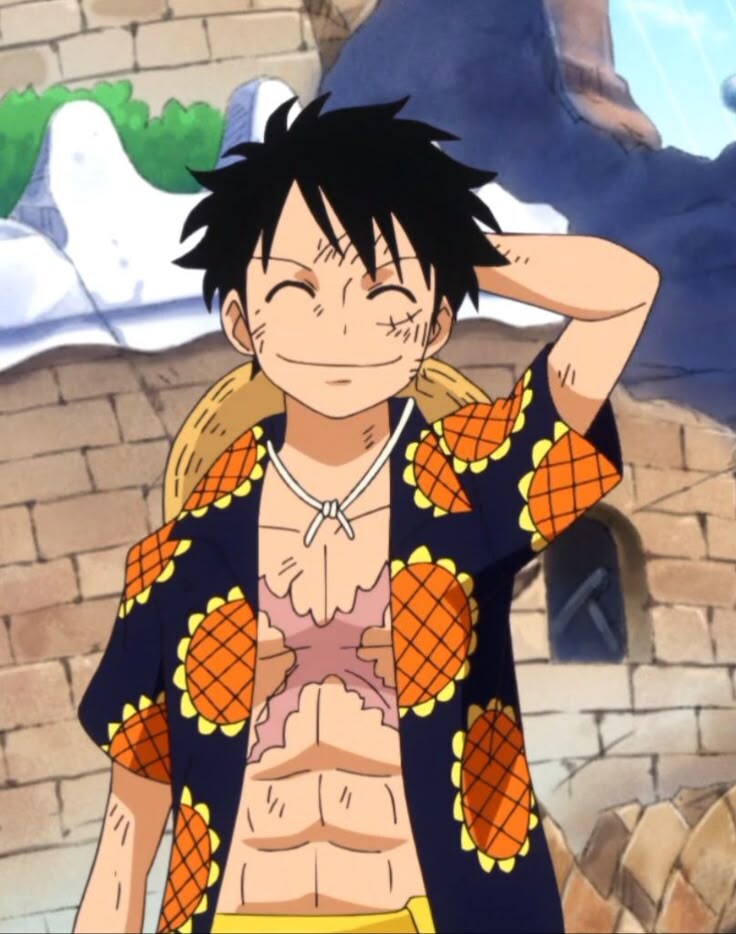 원피스) 이제와서 보니 나름 상징성이 있었던 코디_1.jpg