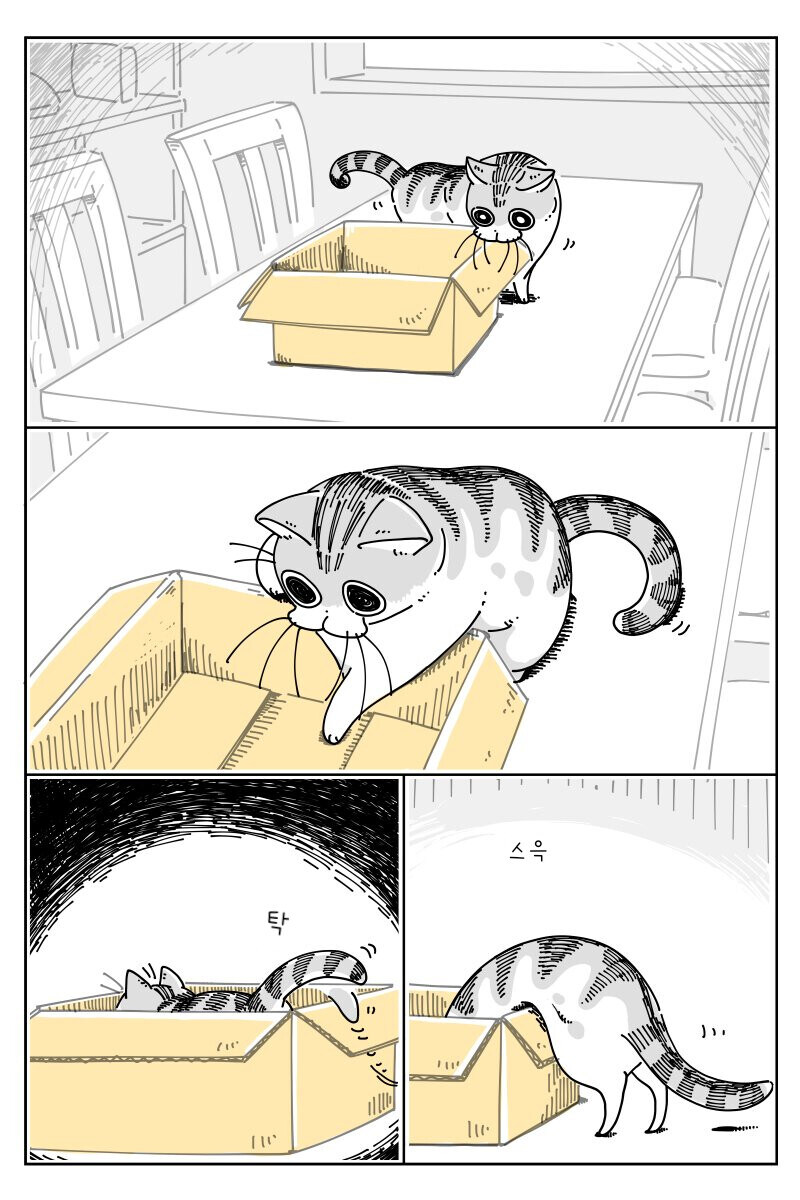 밤은 고양이와 함께.manhwa_1.jpg