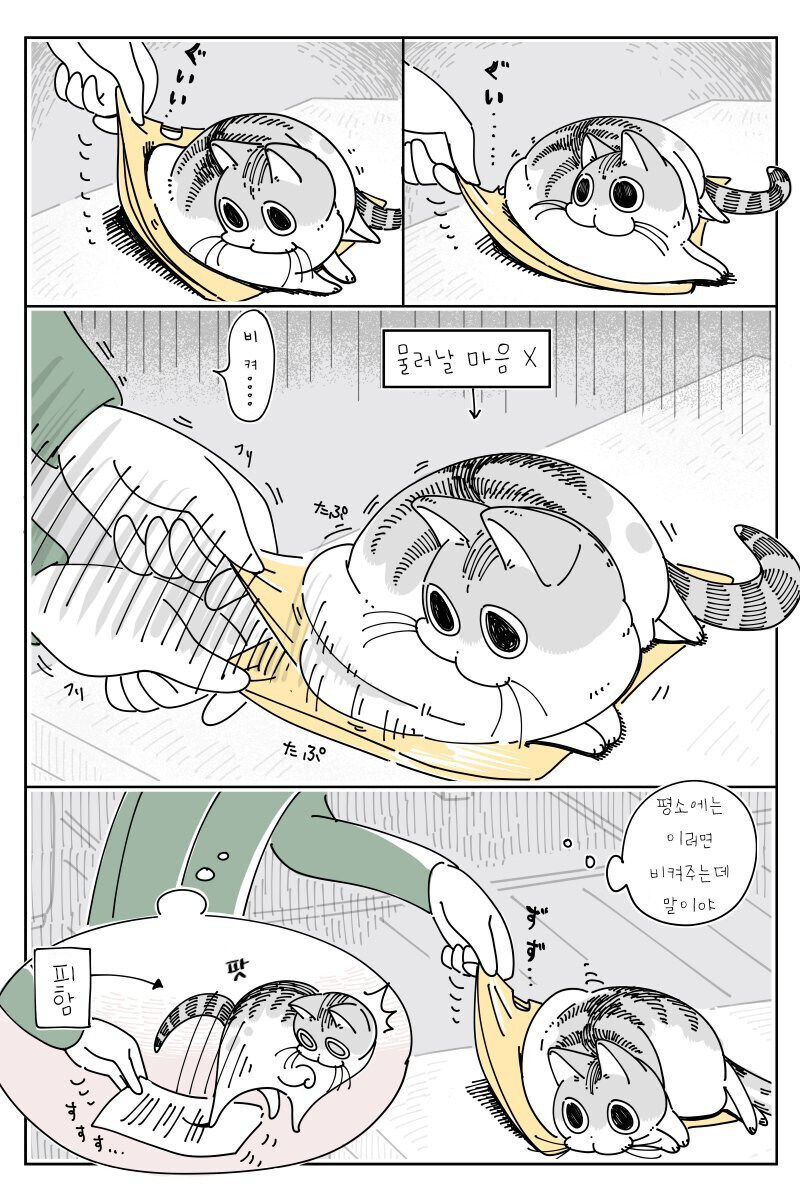 밤은 고양이와 함께.manhwa_12.jpg