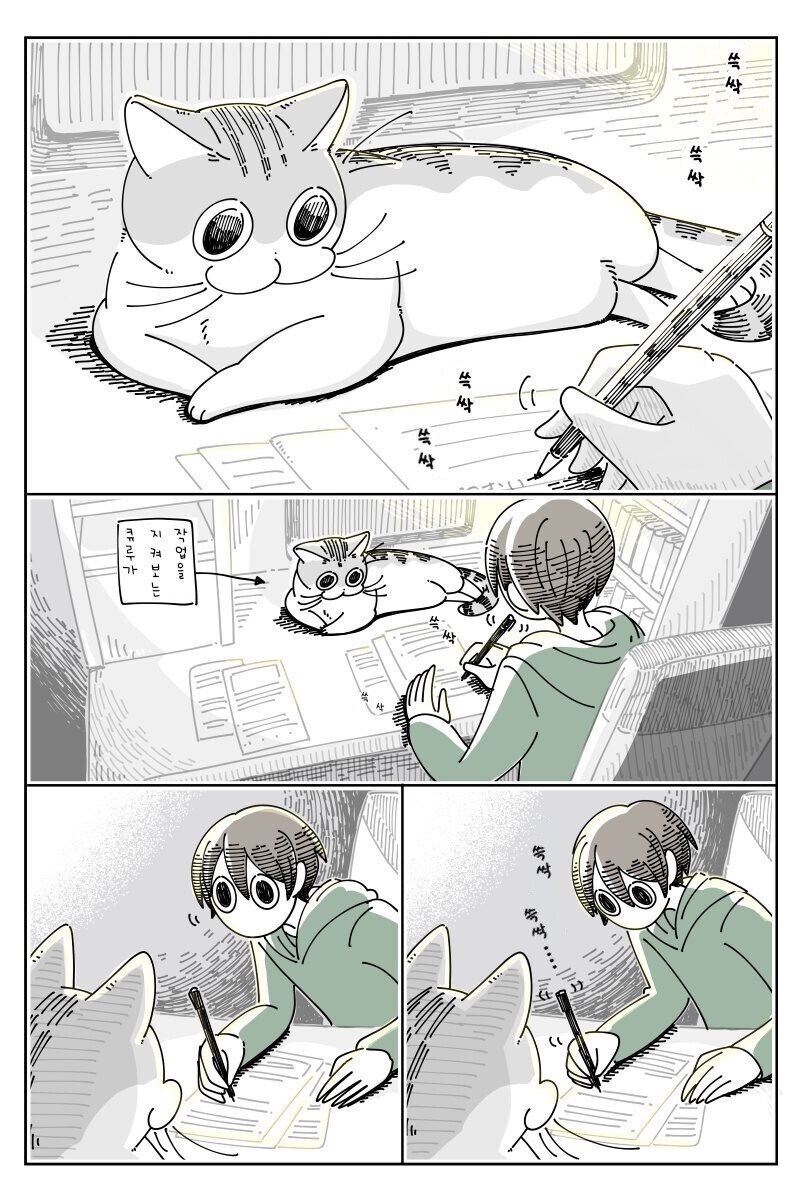 밤은 고양이와 함께.manhwa_14.jpg