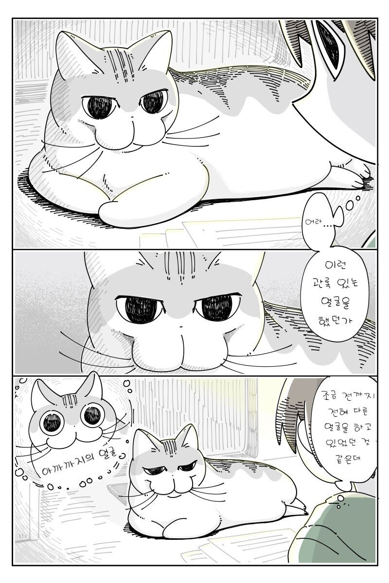 밤은 고양이와 함께.manhwa_15.jpg