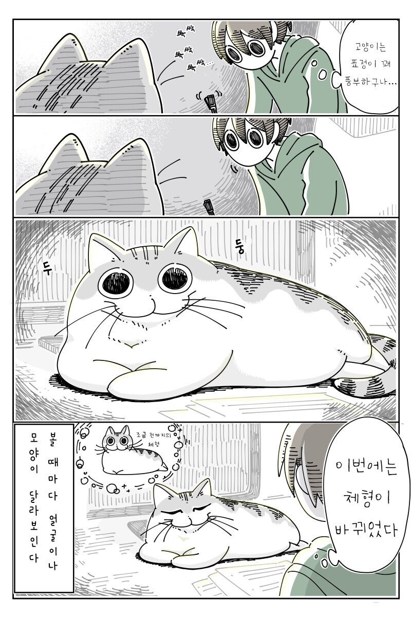 밤은 고양이와 함께.manhwa_16.jpg