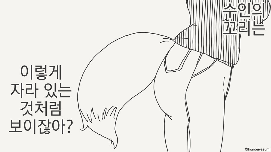 꼬리 알려주는 만화_3.jpg