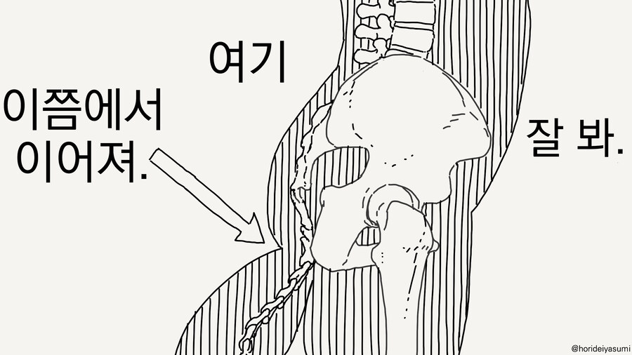 꼬리 알려주는 만화_4.jpg