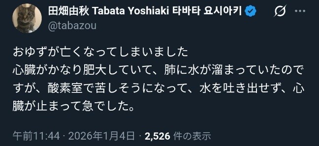 닌슬 만화 스토리 작가 고양이 자기별로 돌아갔네_1.jpg