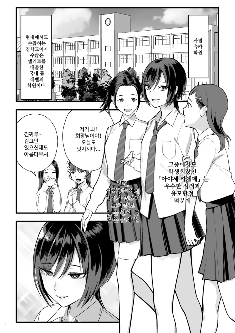 불량 남학생과 성실 학생회장의 만남.manga_1.webp