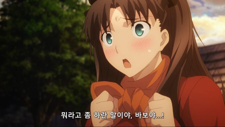 Fate) 대영웅이 목숨을 바쳐서 싸우는 이유_17.jpg