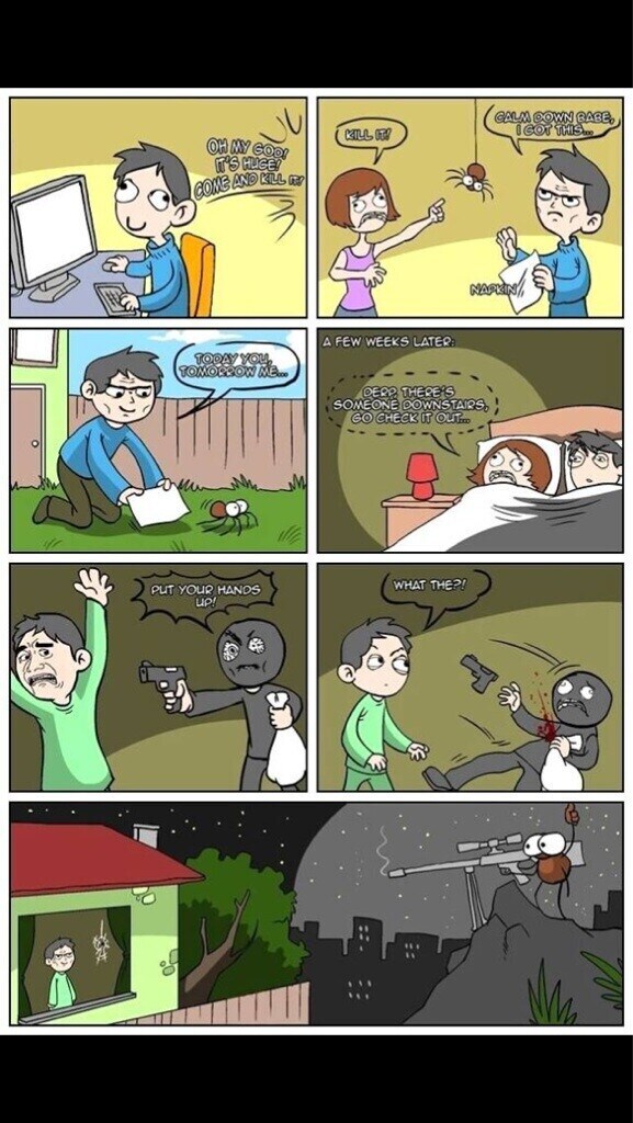 집에 들어온 거미 구해주는 만화_1.jpg