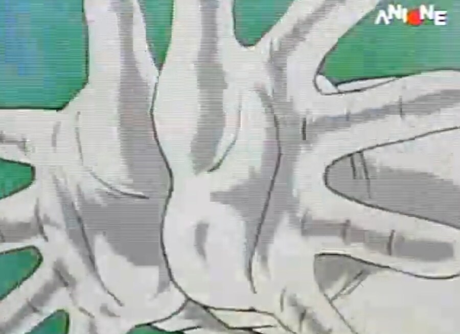 드래곤볼)베지터의 파이널 플레시 자세는 사실_2.jpg