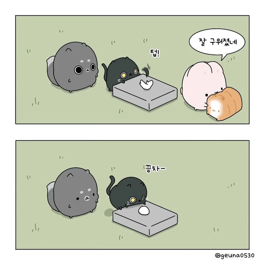 고양이 식빵을 굽는 .manhwa_3.webp