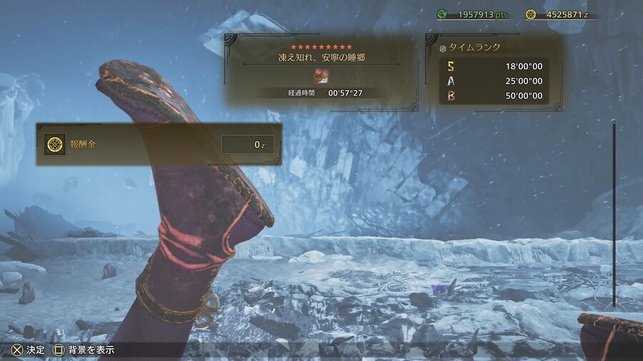 결과창이 만화 연출 같이 찍혀버린 일본 헌터_2.jpg