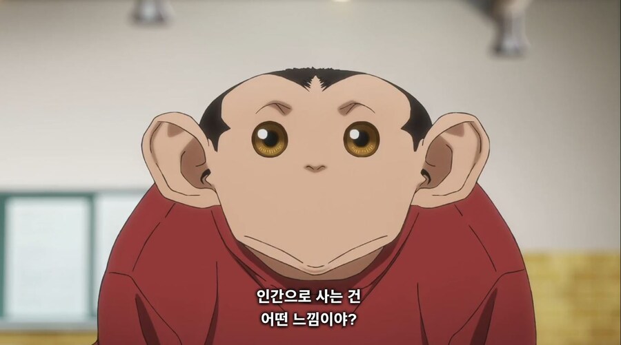 다윈사변) 역시 우리랑 세상을 보는 방식이 달라?_11.jpg