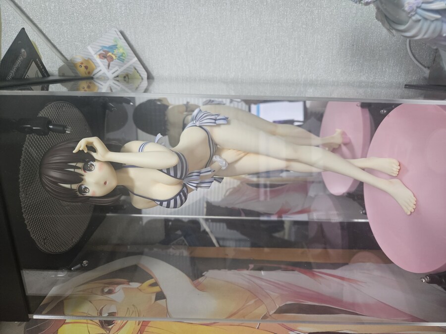 피규어) 내 마누라들 보고 가_1.jpg