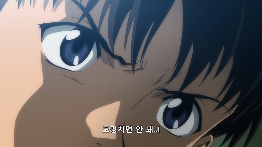 에바)의외로 사람들이 착각하는 사실_1.png