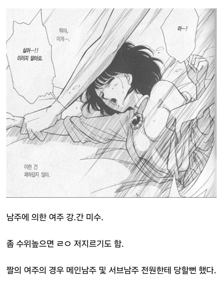 여성향 만화에 나오는 레이프 판타지_2.jpg