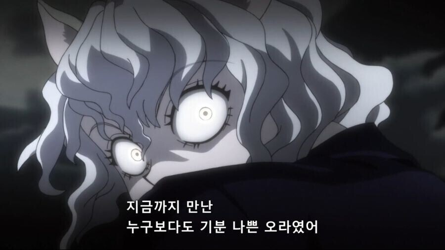 헌터x헌터]아 어린애가 패닉에 빠져서 제대로된 평가를 못하는구나_1.jpg