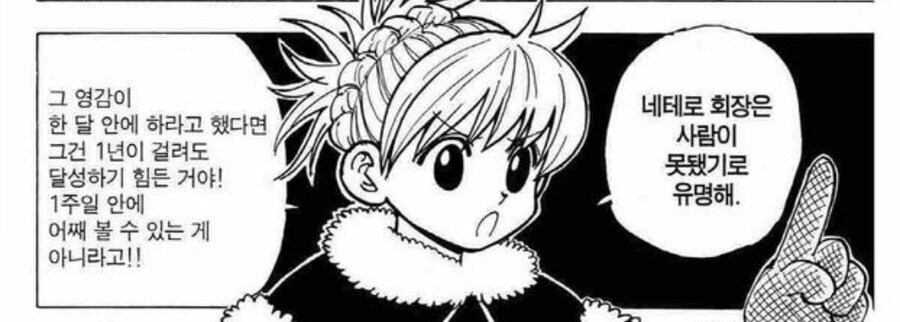 헌터x헌터) 부회장의 역할_2.jpg