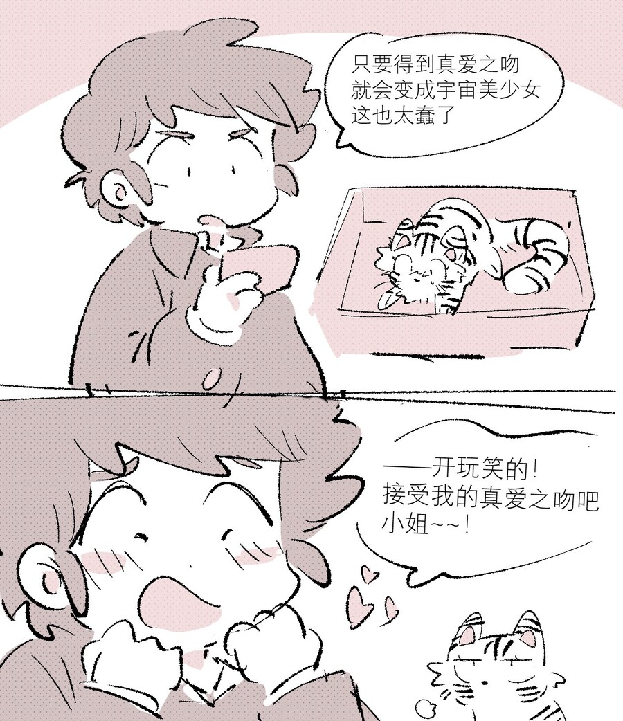 고양이에게 키스하는 만화_1.jpg