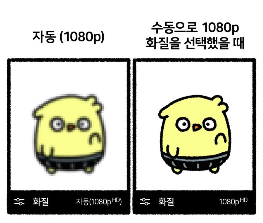 유튜브 화질 특.manga_1.jpg