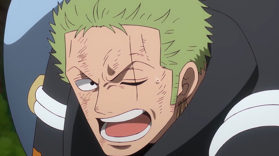 원피스) 조로 특징_4.jpg