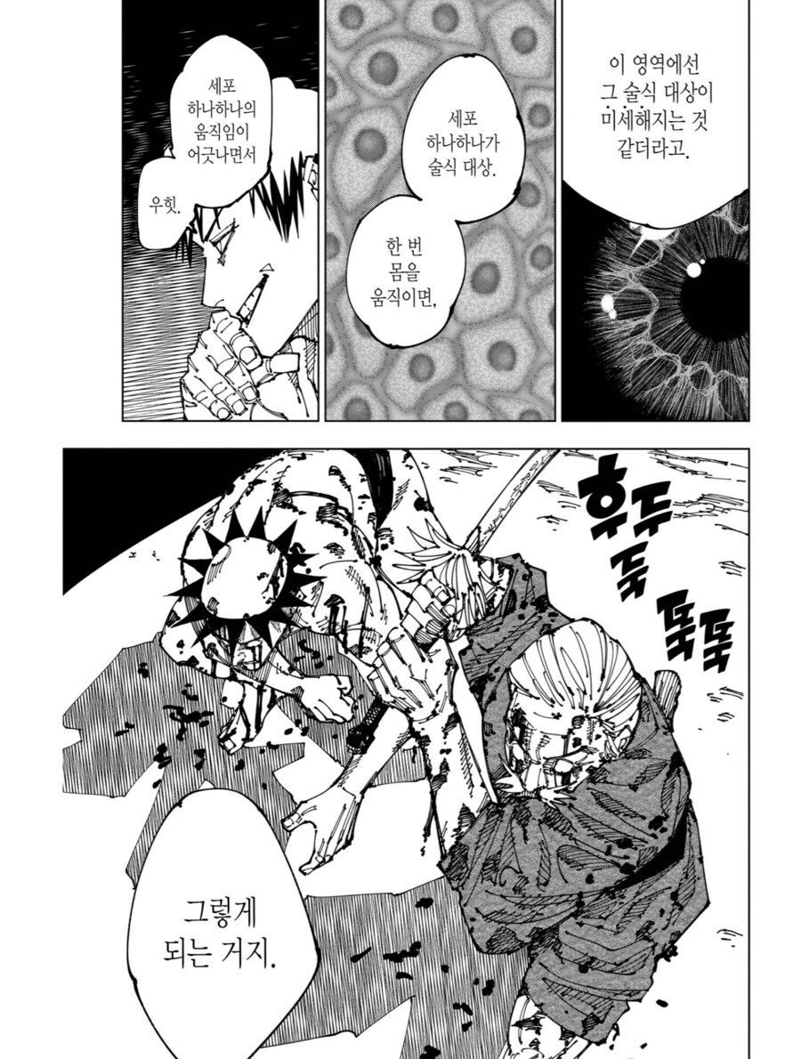 주술회전)허무하게 당했지만 따져보면 무량공처급 사기 기술_3.png