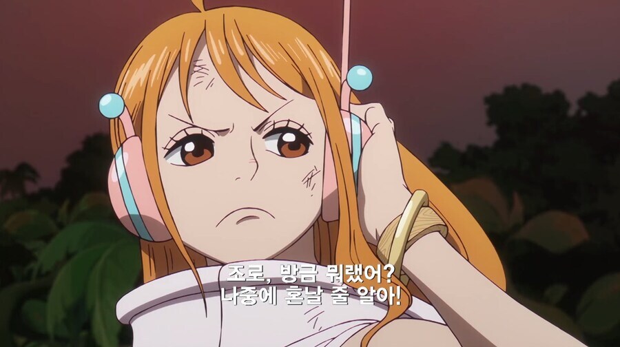 원피스) 나미는 루피 한정으로 패휘감을 쓴다?_3.jpg