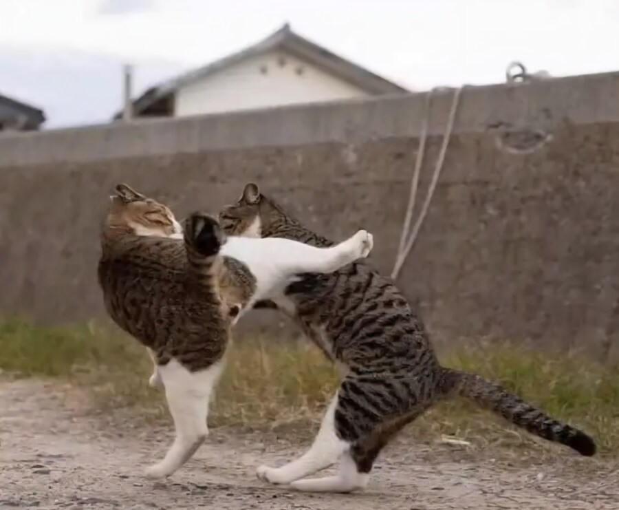 한국 영화사 이야기를 만화로 그리는 중이야_2.jpg
