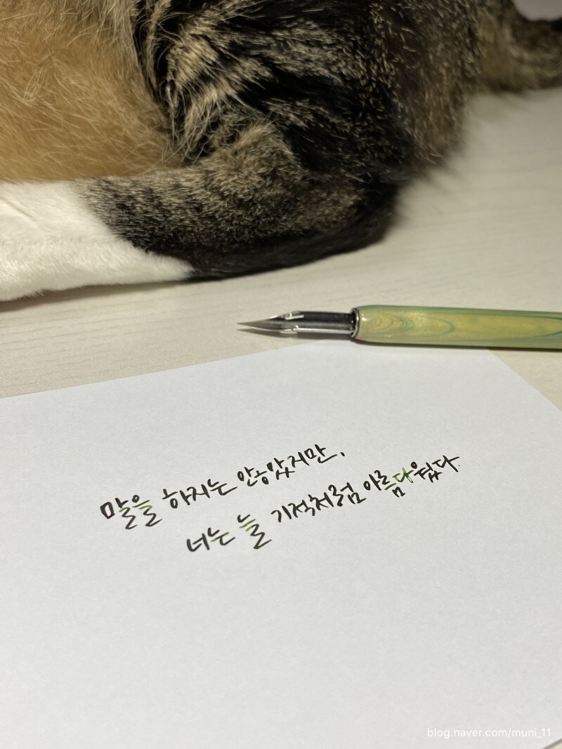 한때 인스타를 점령한 문장_4.jpg