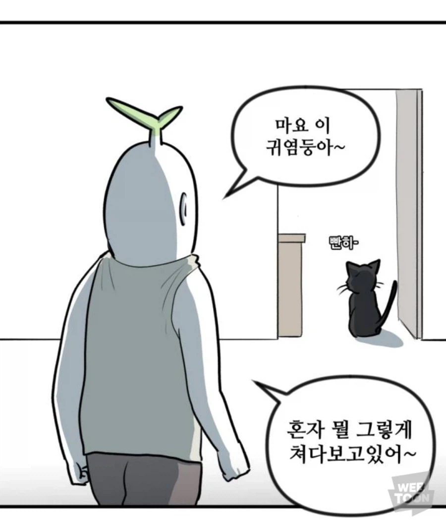 고양이가 보면 눈이 땡글땡글해지는 커지는 것!!!_1.webp