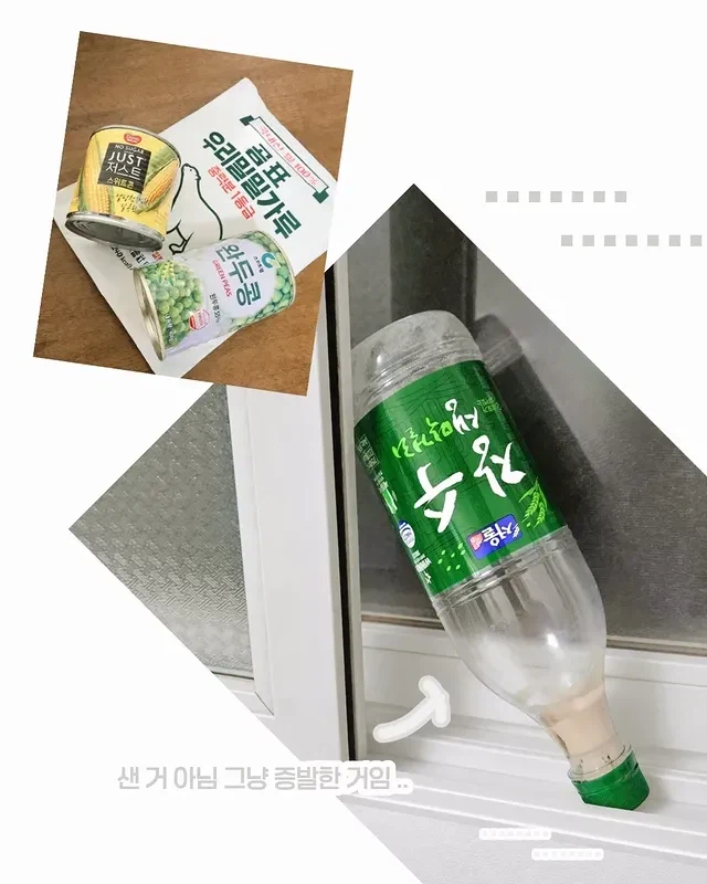 막걸리로 빵 만드려는 만화_12.webp