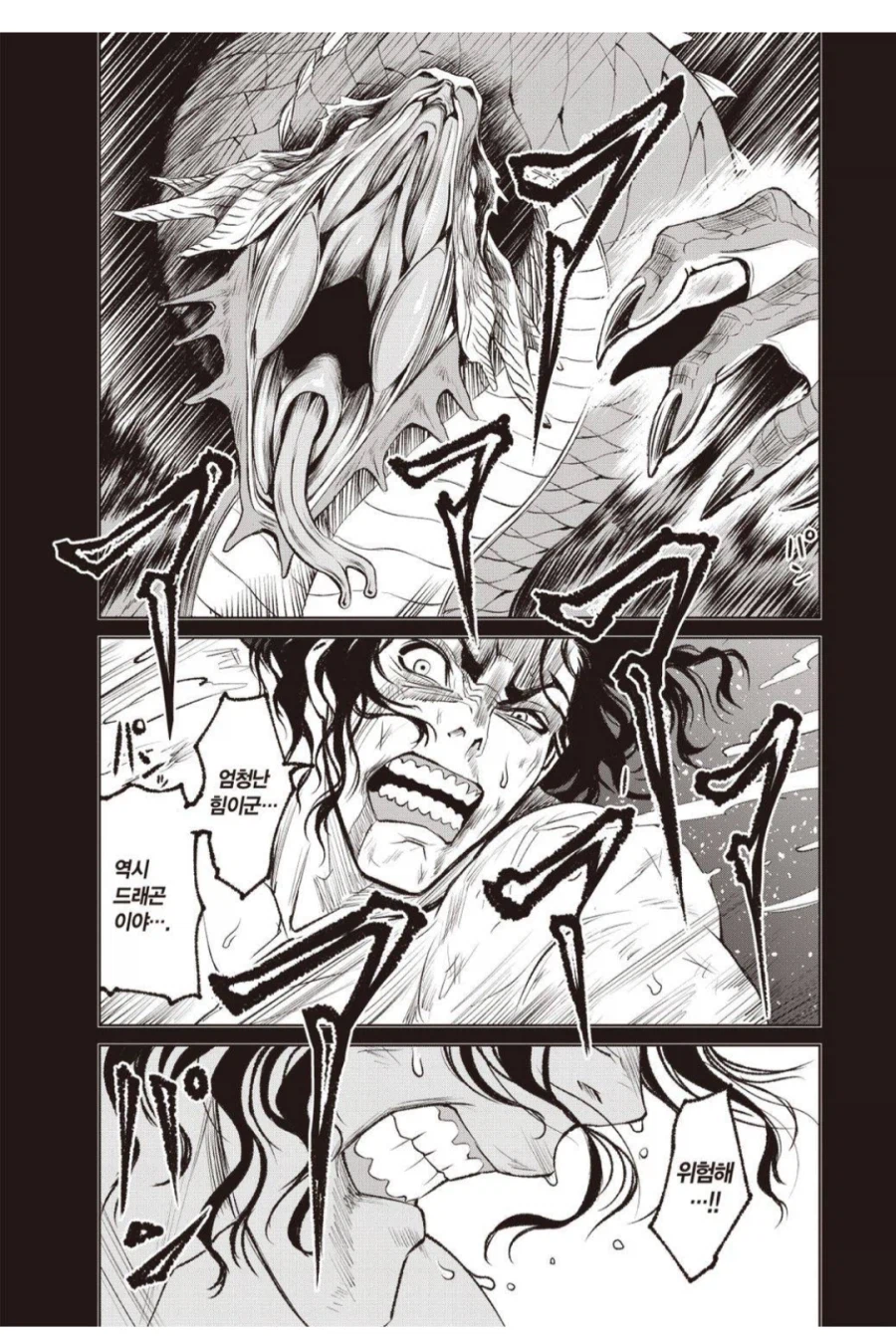 드래곤과의 사투에서 살아남은 영웅의 정체.manhwa_2.webp