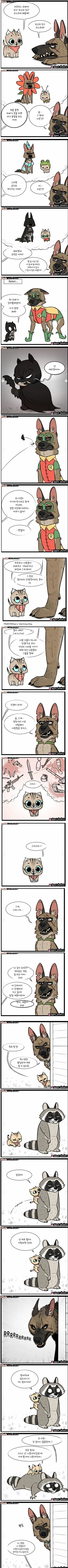 아기고양이와 은퇴한 군견 manwha_2.webp