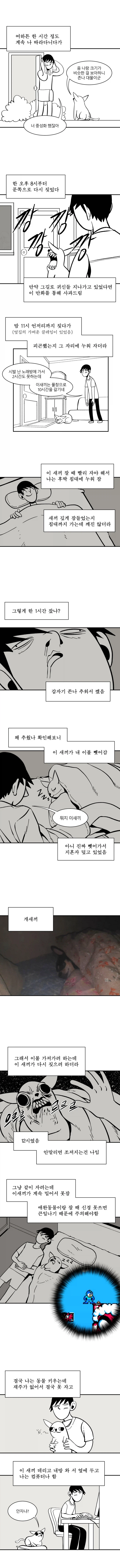 치와외를 키워보는 만화_3.webp