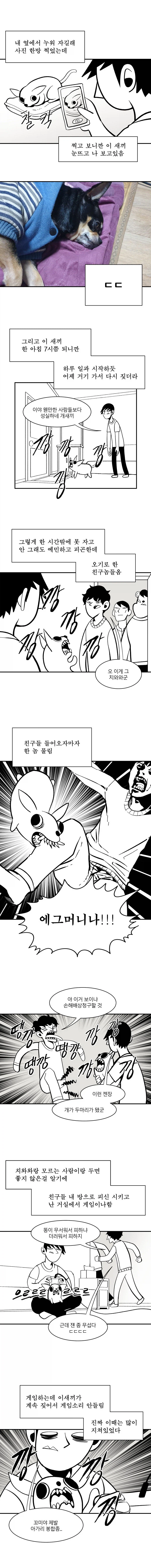 치와외를 키워보는 만화_4.webp