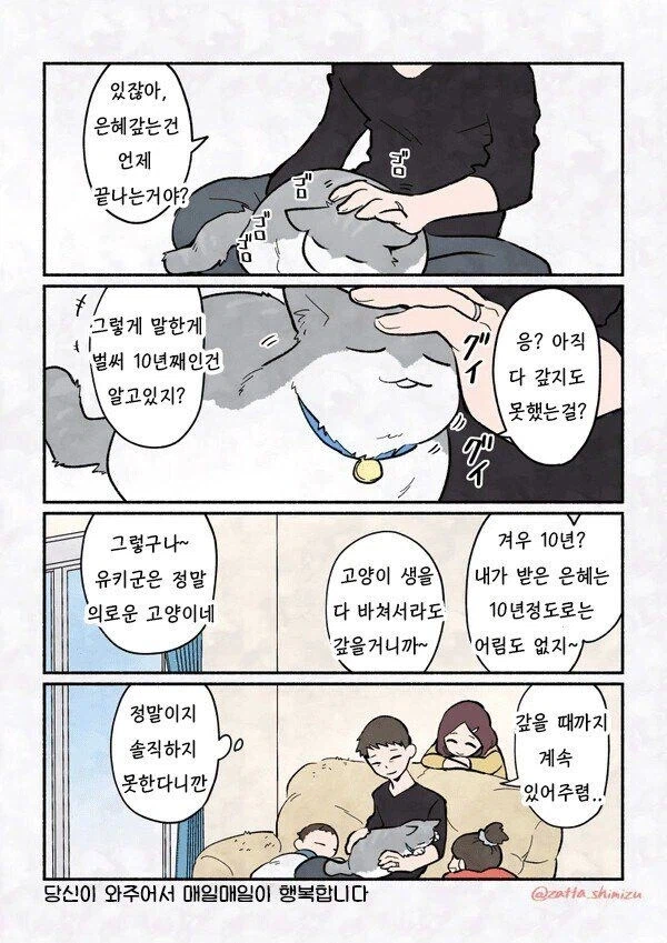 고양이가 은혜갚는 만화_4.webp