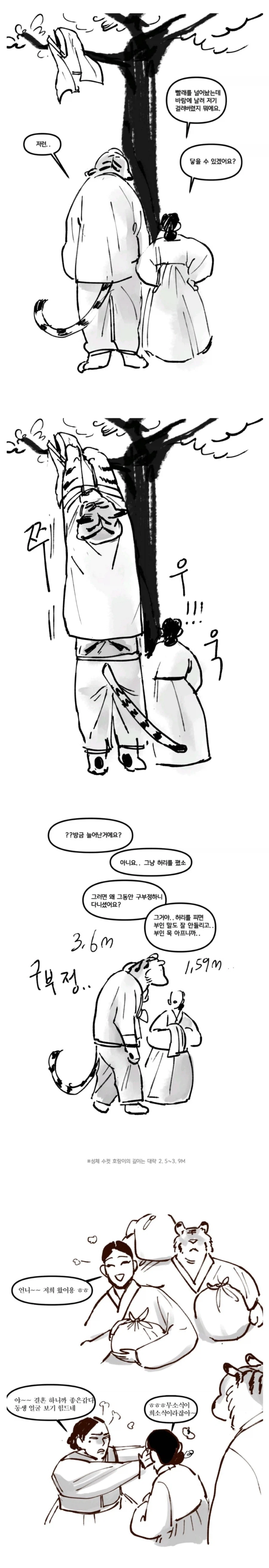 호랑이 남편 manhwa_2.webp