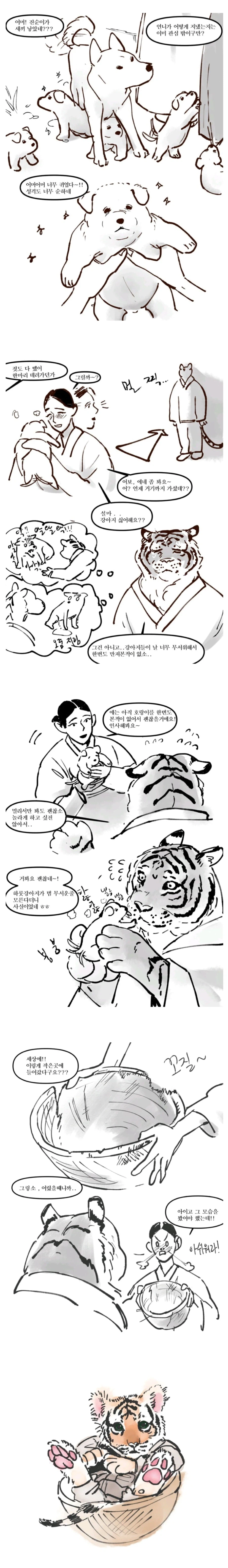 호랑이 남편 manhwa_3.webp