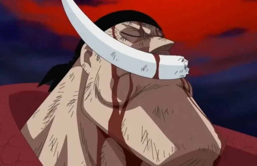 원피스) 사실 샹크스도 카이도도 에이스를 구하러 갔음_3.webp