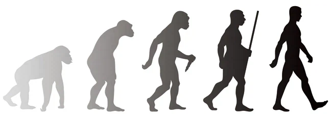 던전밥) 하이 판타지에서 독특한 설정_2.webp