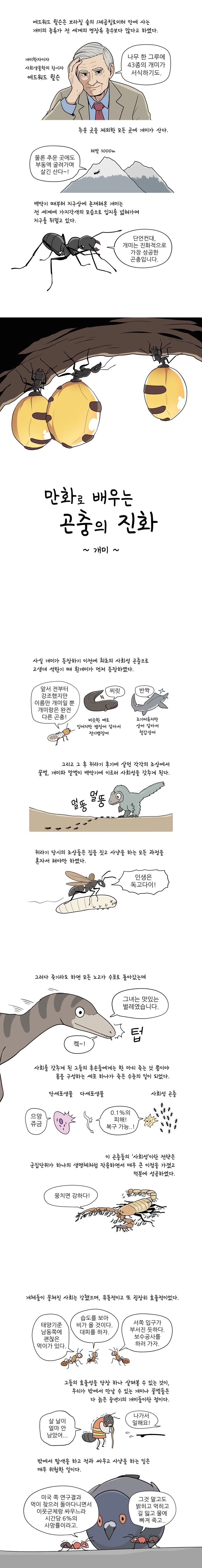 만화로 배우는 곤충의 진화 - 개미_1.webp