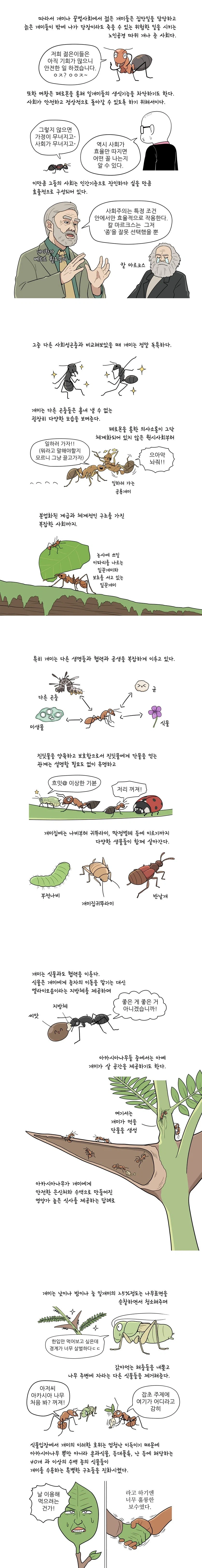 만화로 배우는 곤충의 진화 - 개미_2.webp