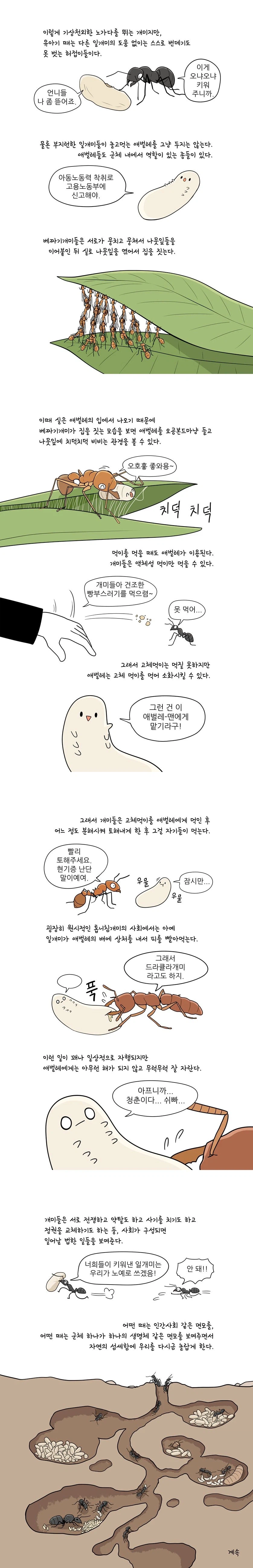 만화로 배우는 곤충의 진화 - 개미_3.webp