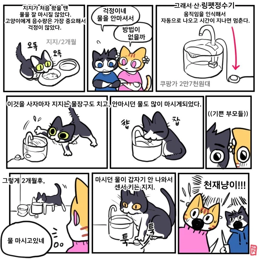 고양이 물마시는 만화_1.webp
